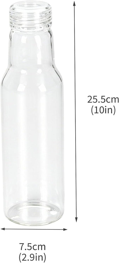 Salad Dressing Container 16 Oz Glass 2 Pack, Salad Dressing Shaker Bottle, Leakproof Glass Shaker Bottle for Oil Vinegar Kitchen Fridge Storage Meal Prep Lunch and On the Go