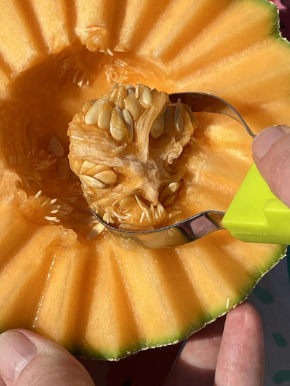 Watermelon Carving Tool Set/Green/Stainless Steel Melon/Fruit Carver Baller Scoop Kit
