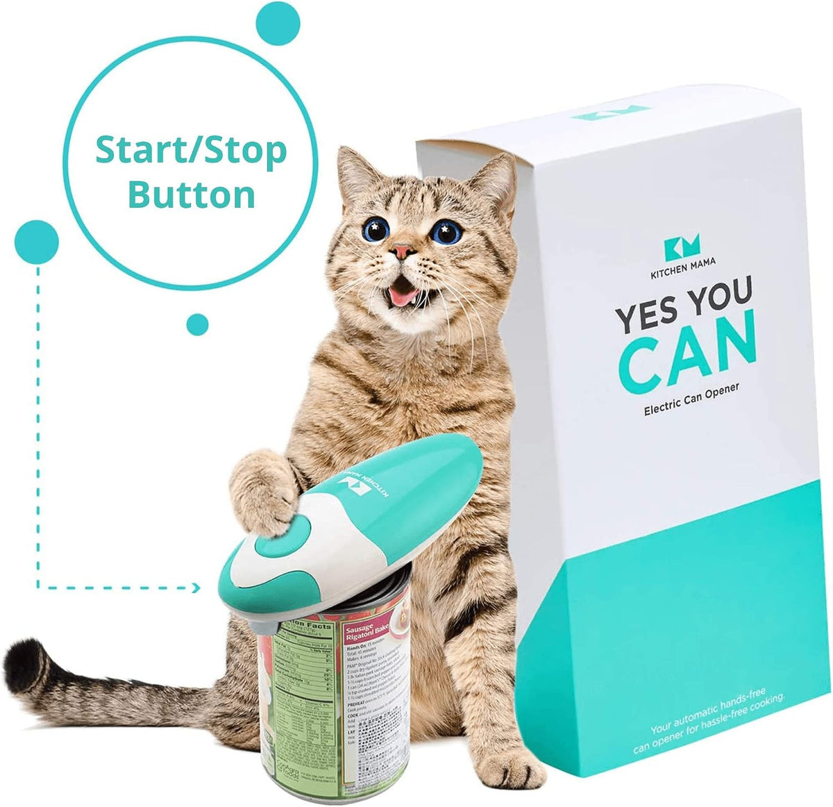Auto Electric Can Opener, Battery Operated, Teal