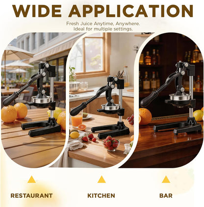Cast Iron Hand Press, Lemon Manual Juicer, Citrus Press, Black