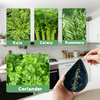 Herb Stripper Bowl, Kitchen Herbs Leaf Stripping Tool, Multi-Size Holes, for Fast Leaf Removal, Kitchen Gadget for Kale, Thyme, Basil, Rosemary
