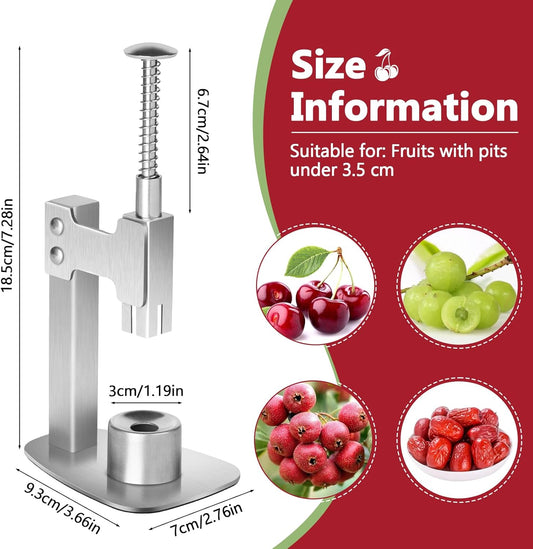 Multitools Stainless Steel Pitter, Olive Pitter Tool Portable Fruit Corer Remover for Cherries, Red Dates, Hawthorn, Grape, Jujube, Easy to Use