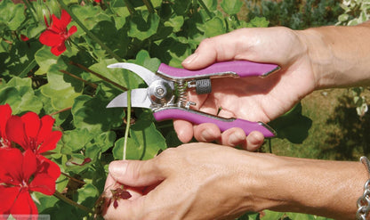 ColorPoint Stainless Steel Compact Garden Pruning Shears, Hand Pruner, Garden Clippers, with Heavy Duty Blade and Easy grip Handle, Yellow