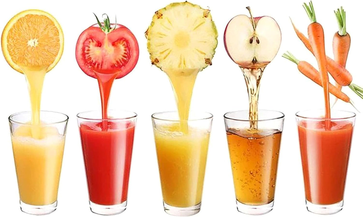 Lemon Squeezer Juicer, 9 Inch Stainless Steel Handheld Press Manual Squeezer for Kitchen Tomatoes, Apples and Carrots (9 inch)