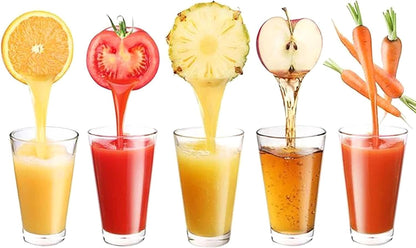 Lemon Squeezer Juicer, 9 Inch Stainless Steel Handheld Press Manual Squeezer for Kitchen Tomatoes, Apples and Carrots (9 inch)