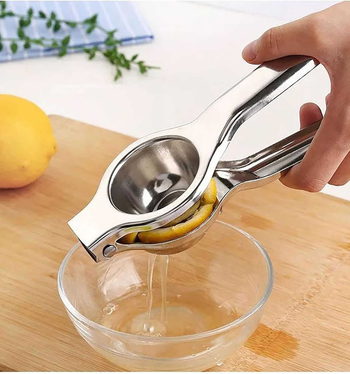 Lemon Squeezer Juicer, 9 Inch Stainless Steel Handheld Press Manual Squeezer for Kitchen Tomatoes, Apples and Carrots (9 inch)