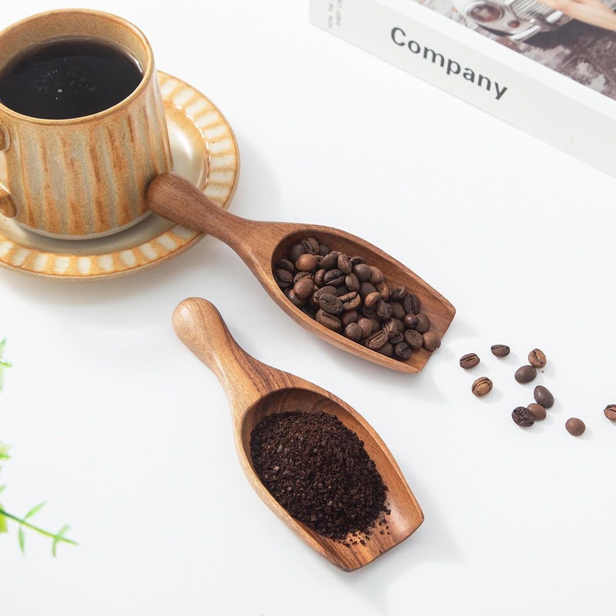 Large Wooden Scoop - 6.3Inches Wood Scoop for Coffee Bean Sugar Tea Powder Bath Salt Laundry Detergent, Multipurpose Kitchen Flour Scoop for Big Jars Canisters