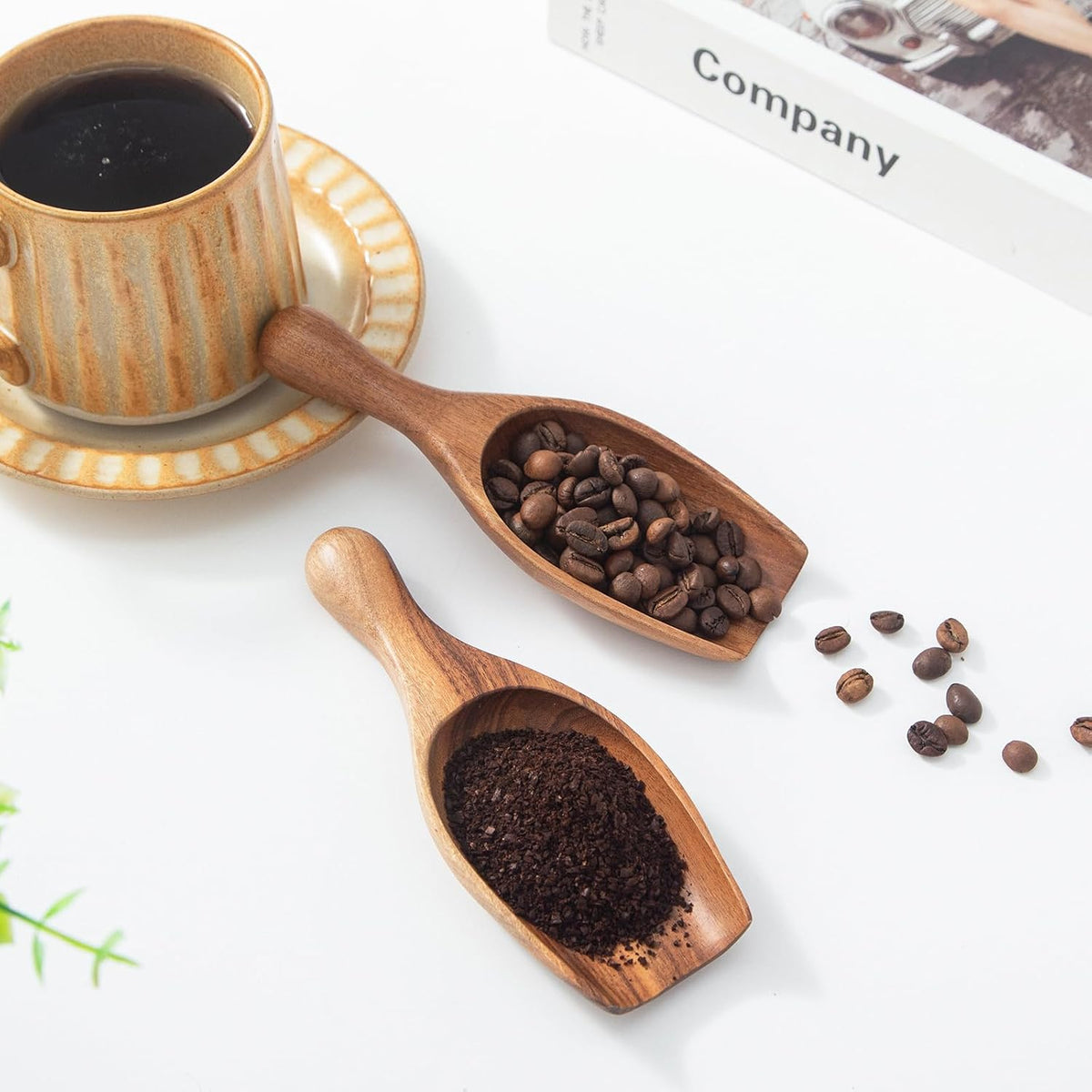 Large Wooden Scoop - 6.3Inches Wood Scoop for Coffee Bean Sugar Tea Powder Bath Salt Laundry Detergent, Multipurpose Kitchen Flour Scoop for Big Jars Canisters