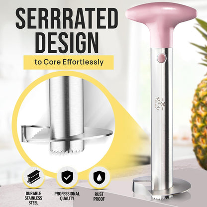 Stainless Steel Pineapple Corer, Slicer & Eye Peeler
