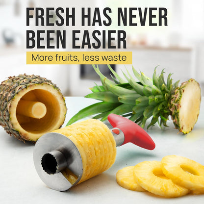 Stainless Steel Pineapple Corer, Slicer & Eye Peeler