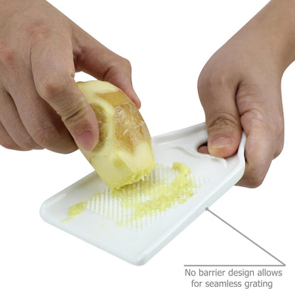 Porcelain Grater Plate Grinding Dish, Cooking Preparation Tool
