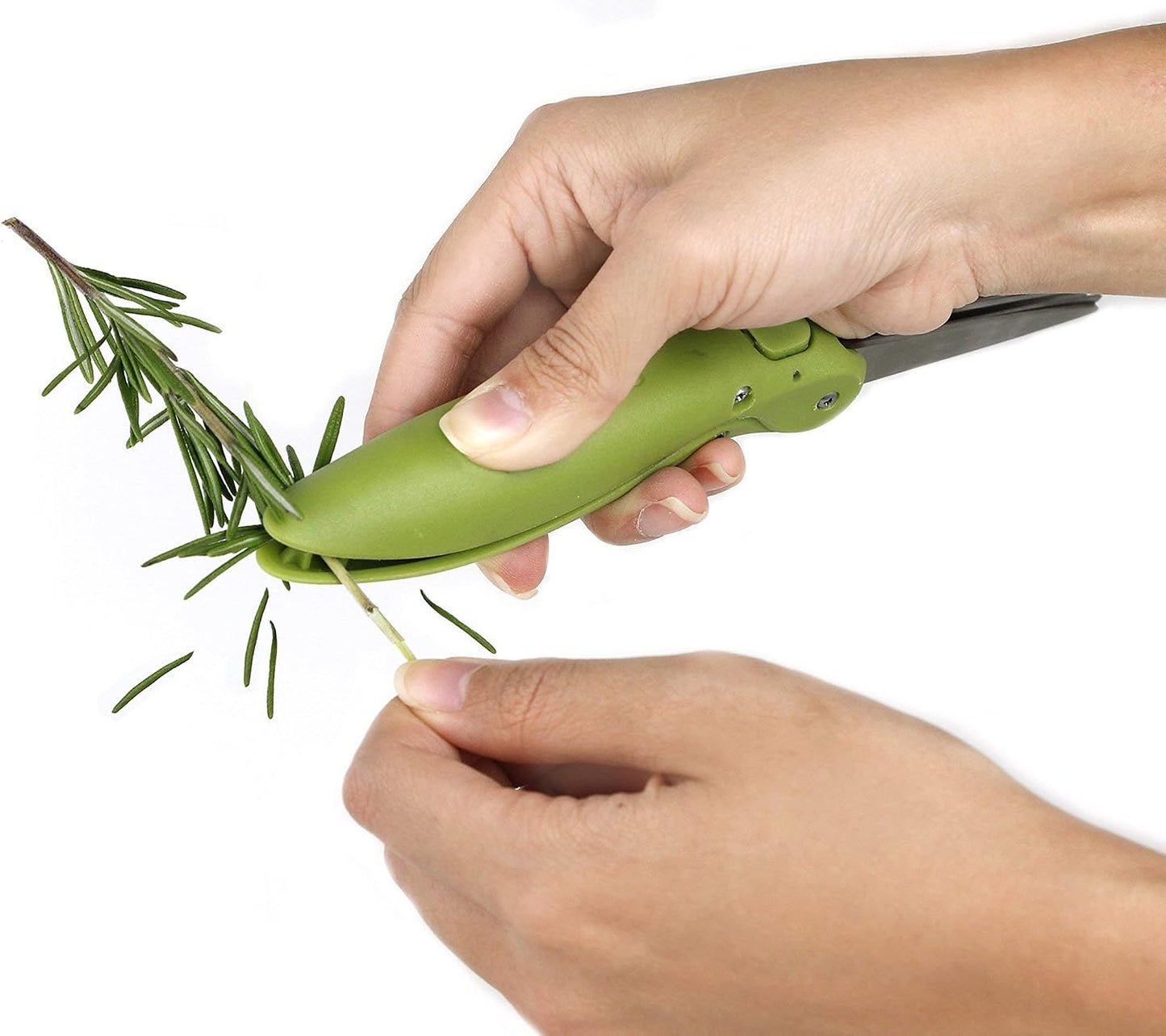 Herb Shears, Green