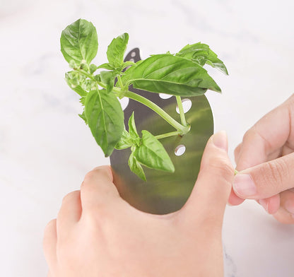 Herb Stripper,Stainless Steel Kitchen Herb Leaf Stripping Tool with holes Metal Herb Chopper for Kale,Chard,Collard Greens,Parsley,Thyme,Basil,Taragon,Rosemary