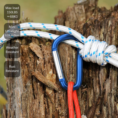 3" Aluminum Carabiner D Ring, Caribeener Clips, Spring Snap Hook for Keychain Clip, Set of 10
