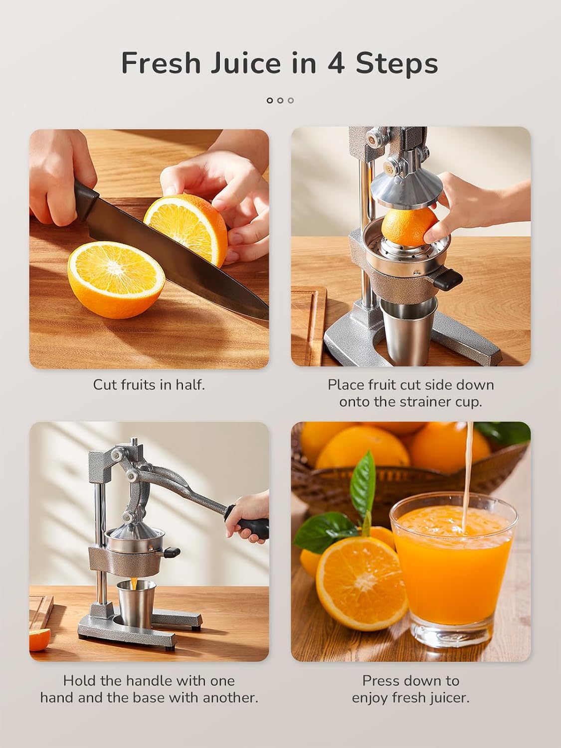 Manual Citrus Juicer Cast Iron Heavy Duty Orange Press