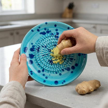 Premium Ceramic Garlic Grater Plate,Exquisitely Handcrafted Ginger Grater Plate,Modern Design Multipurpose Grinder Plates Burnishing Machine for Fruits Vegetables Ginger Garlic Onion (White)