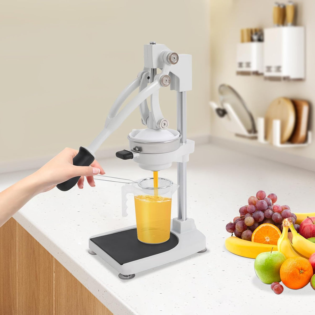Manual Juicer, Cast Iron Juicer, Citrus Juicer with Stable Base Commercial Grade Manual Press for Orange Lemon Lime Grapefruit and Pomegranate