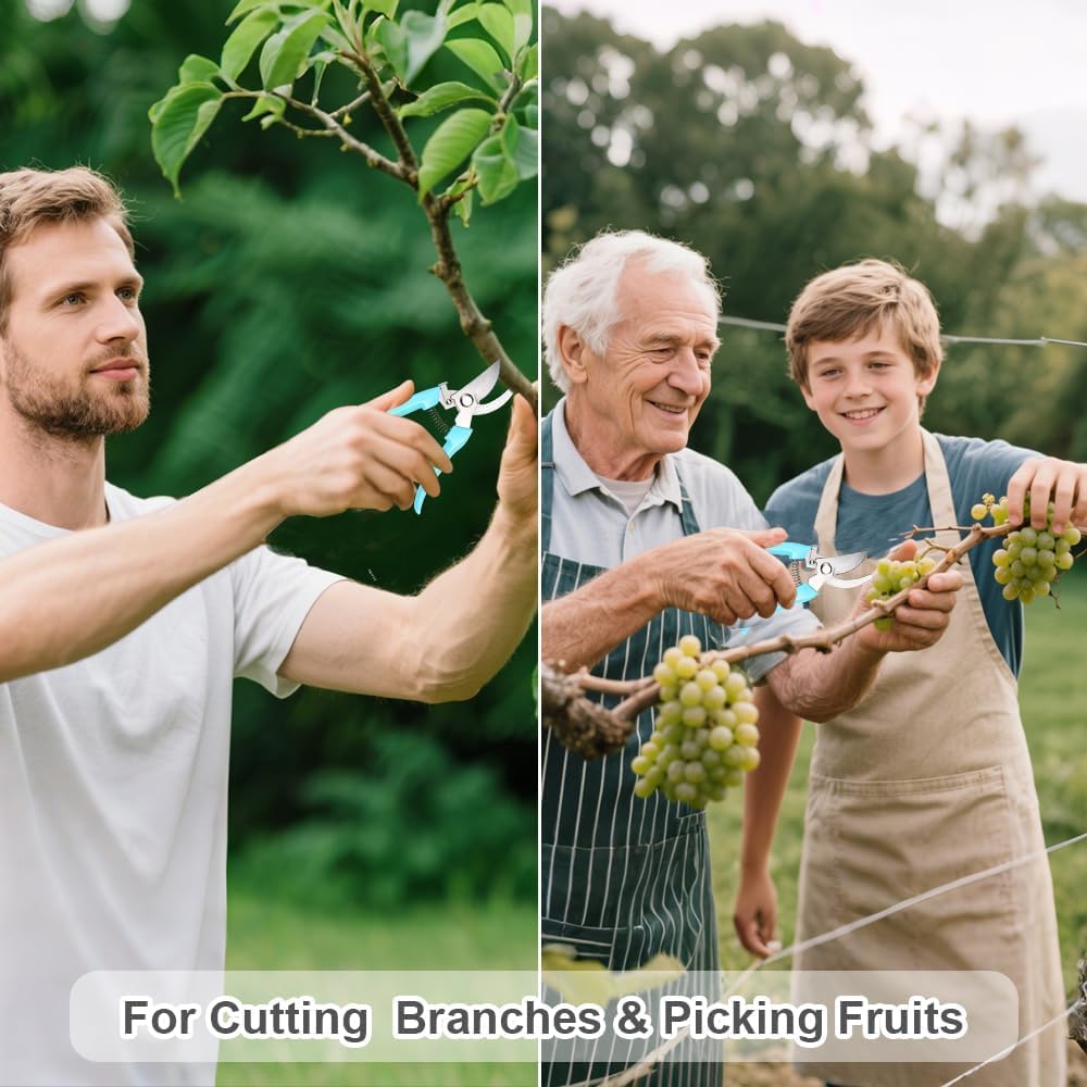 2 Pack Pruning Shears, Stainless Steel Sharp Blades, for Home Gardeners | Safety Lock，Ergonomic Handle, Easy Use for Seniors , Perfect for Herbs, Flowers, Bonsai & Indoor Plants