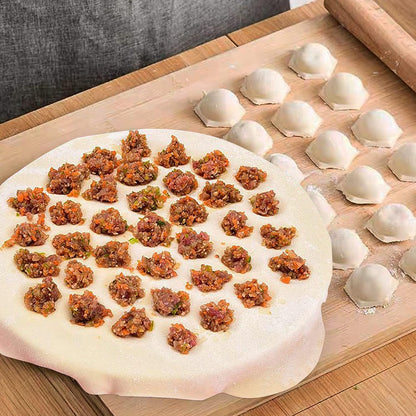 Ravioli Dumpling Mold, Food Grade Safe Dumplings Maker, Russian Pelmeni Maker with 37 Holes Double, Pastry Raviolis Wheel Cutter and Roller Pin for Making Dumplings Ravioli