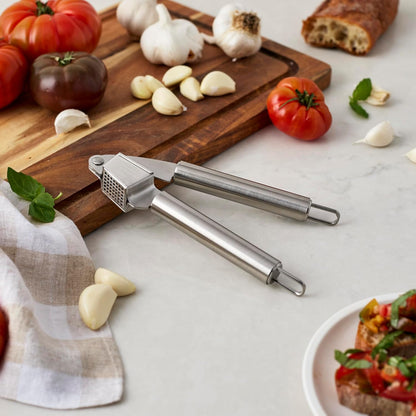 Stainless Steel Garlic Press