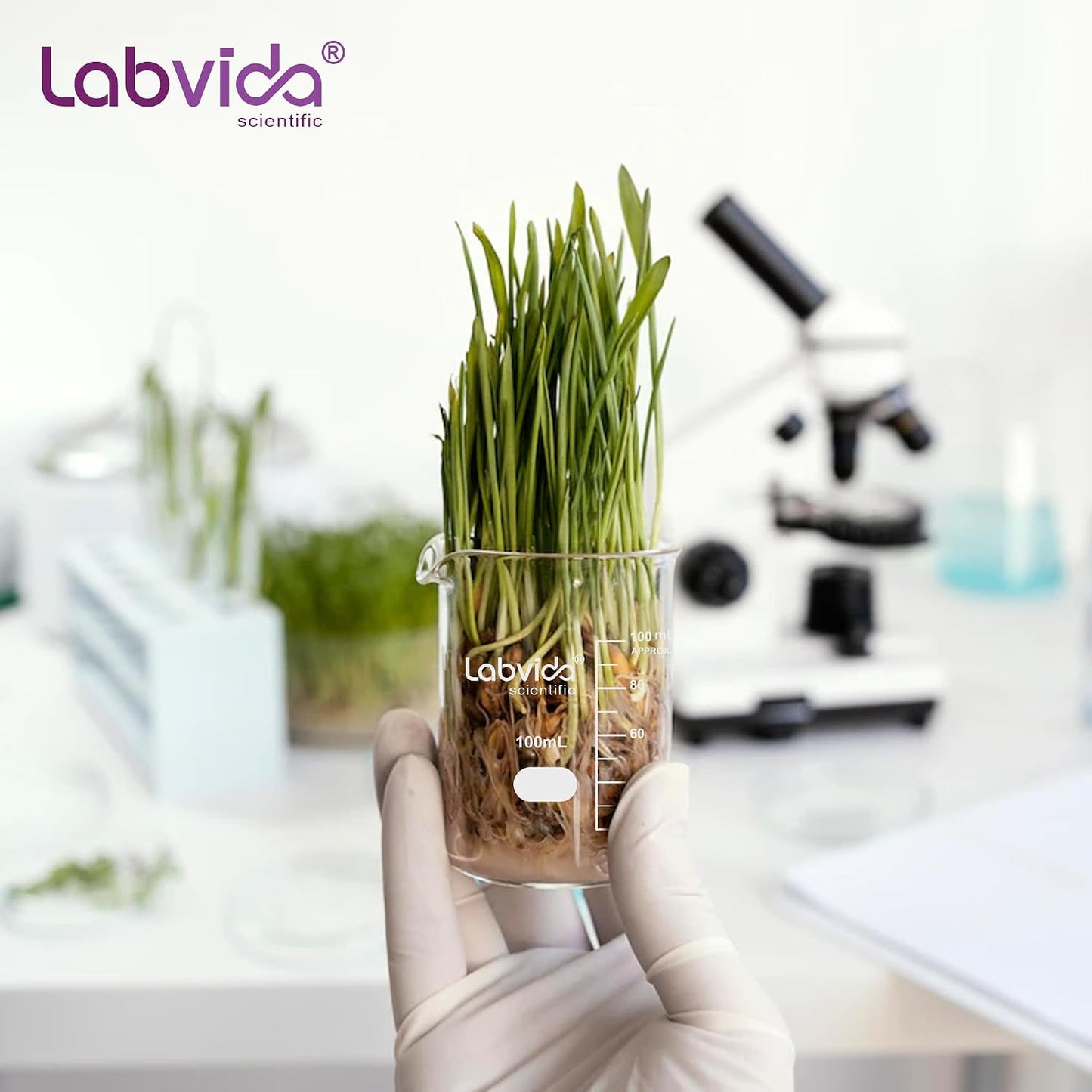 Upgrated 6 Size Low Form Glass Beaker Set, 25ml 50ml 100ml 250ml 500ml 1000ml, 3.3 Boro Glass beakers with Printed Graduation, LVA019