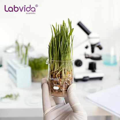 Upgrated 6 Size Low Form Glass Beaker Set, 25ml 50ml 100ml 250ml 500ml 1000ml, 3.3 Boro Glass beakers with Printed Graduation, LVA019