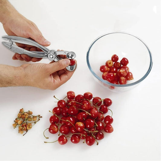 Cherry Pitter, Olive Core Remover Tool Portable Space Saving Design Aluminum Alloy for Kitchen