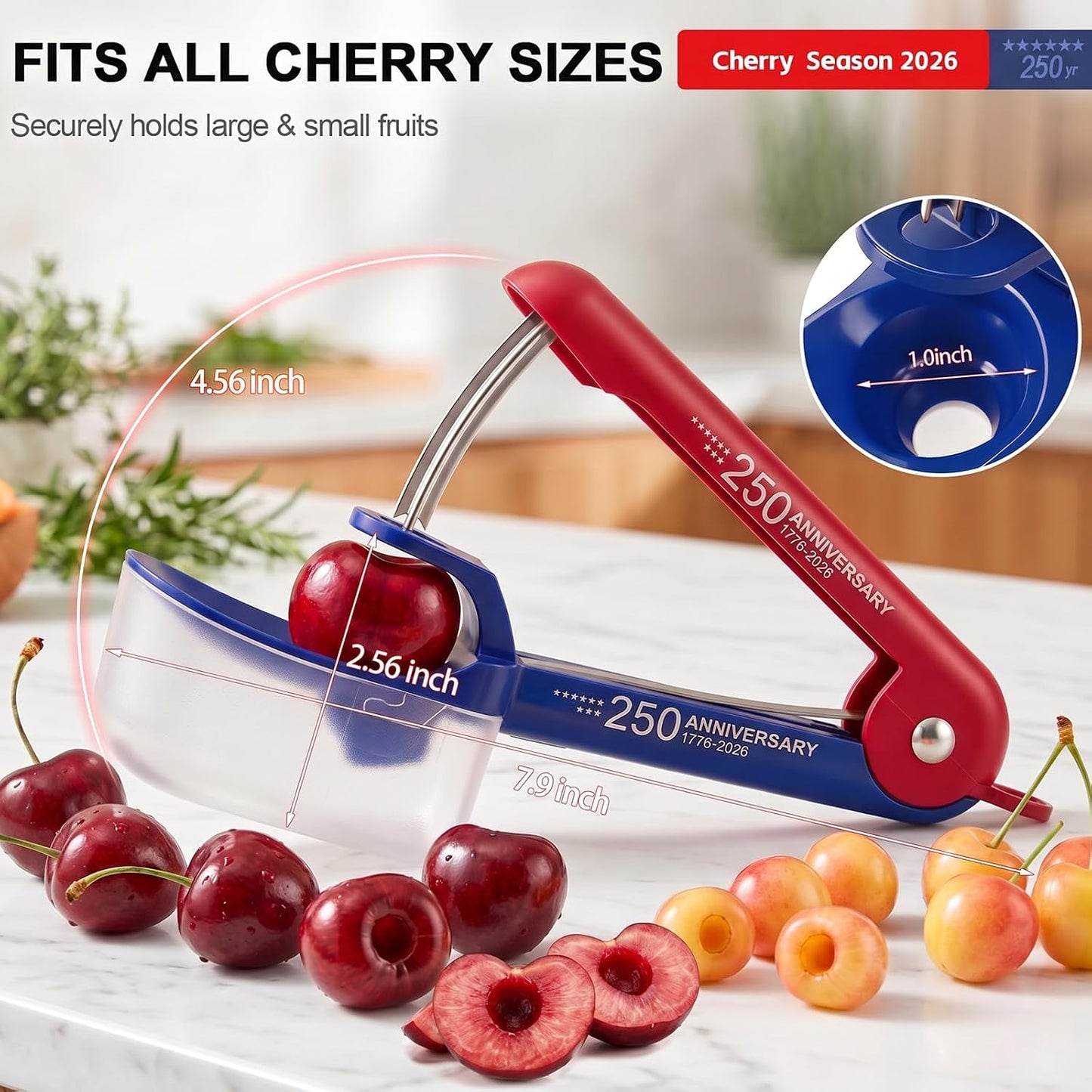Cherry Pitter - Makmzoon Cherry Pitter Tool Stainless Steel Rod(Black) | Hand-held push design Easy to Clean and Store With Lock Design Great for Making Cherry Jam