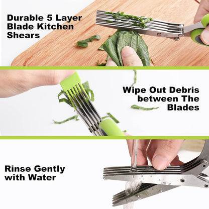 Herb Keeper Set: 3 Pack Herb Saver+1 Pack Herb Scissors+2 Pack Herb Stripper, BPA-Free Plastic Herb Container for Cilantro, Mint & Asparagus, Keeps Fresh Herbs for 3 Times Longer