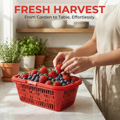 4Pcs Mini Plastic Berry Basket with Handle Red about 23x16x8 cm