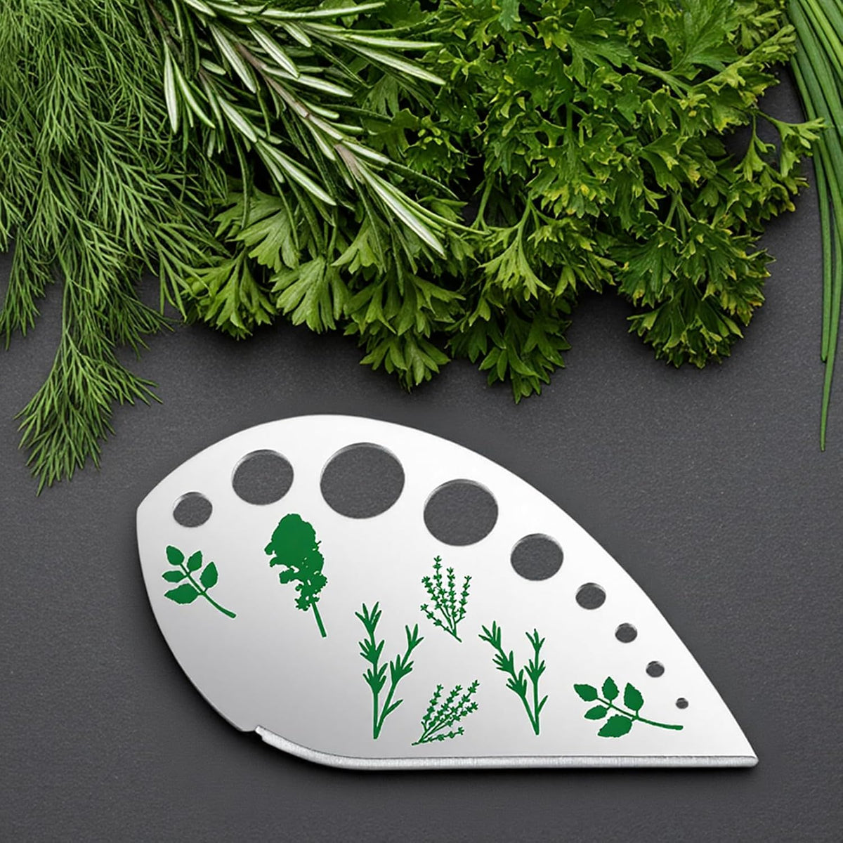 Xindojuz HerbStripper Tool, 9-Hole Stainless Steel HerbCutter Peeler Kitchen HerbsLeaf Stripping Tool, Multi-Purpose Kitchen Gadget for Kale, Collard Greens, Thyme, Rosemary and Basil Stripper