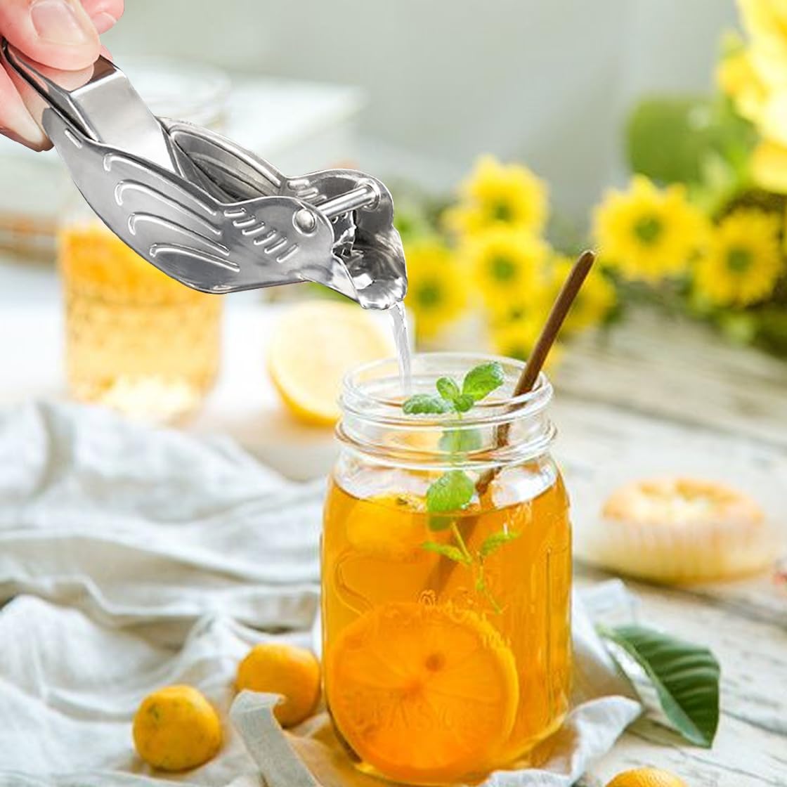 Lemon Juicer, Manual Lemon Squeezer Portable Lime Juicer, Bird Shape Hand Press Juicer for Orange Lime Pomegranate