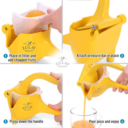 Manual Fruit Juicer