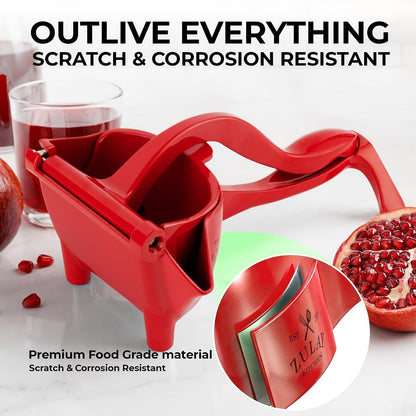 Manual Fruit Juicer
