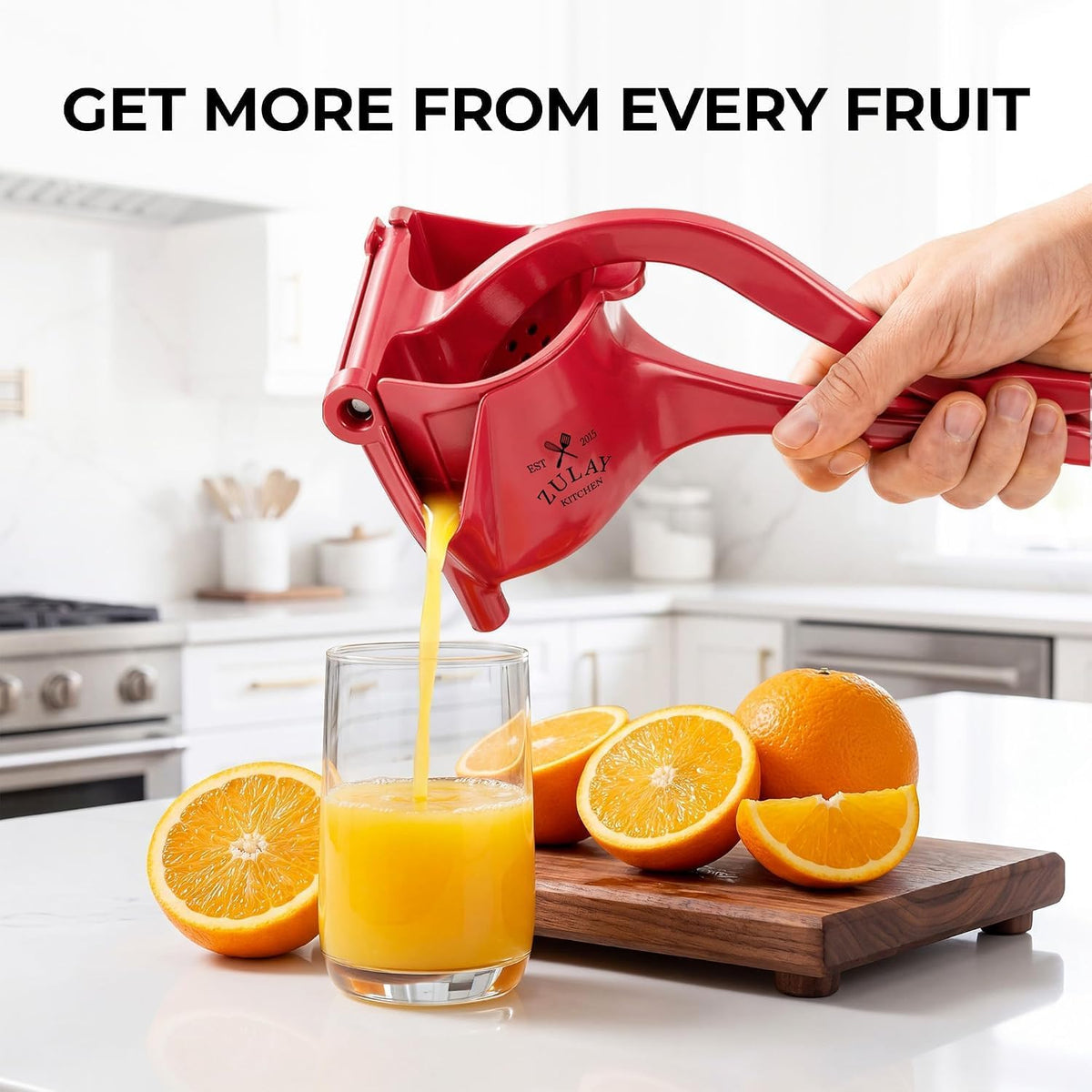 Manual Fruit Juicer