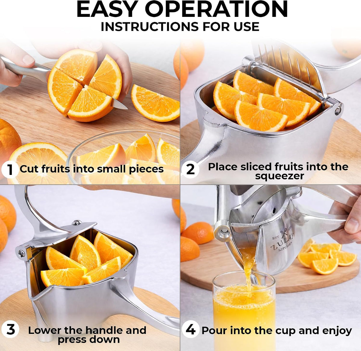 Manual Fruit Juicer