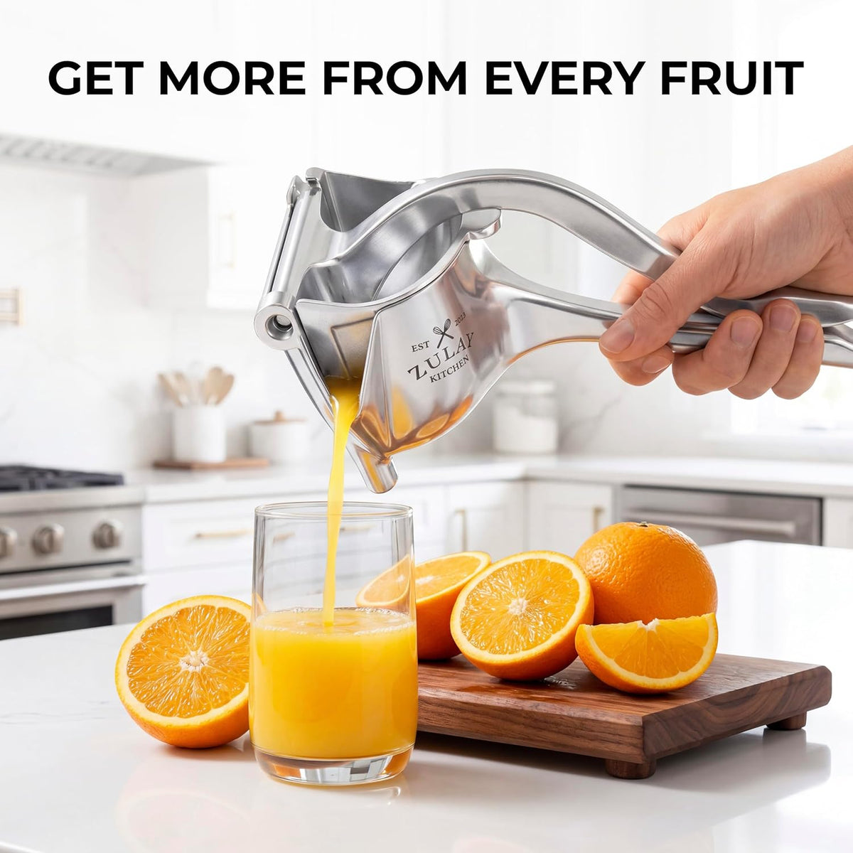 Manual Fruit Juicer