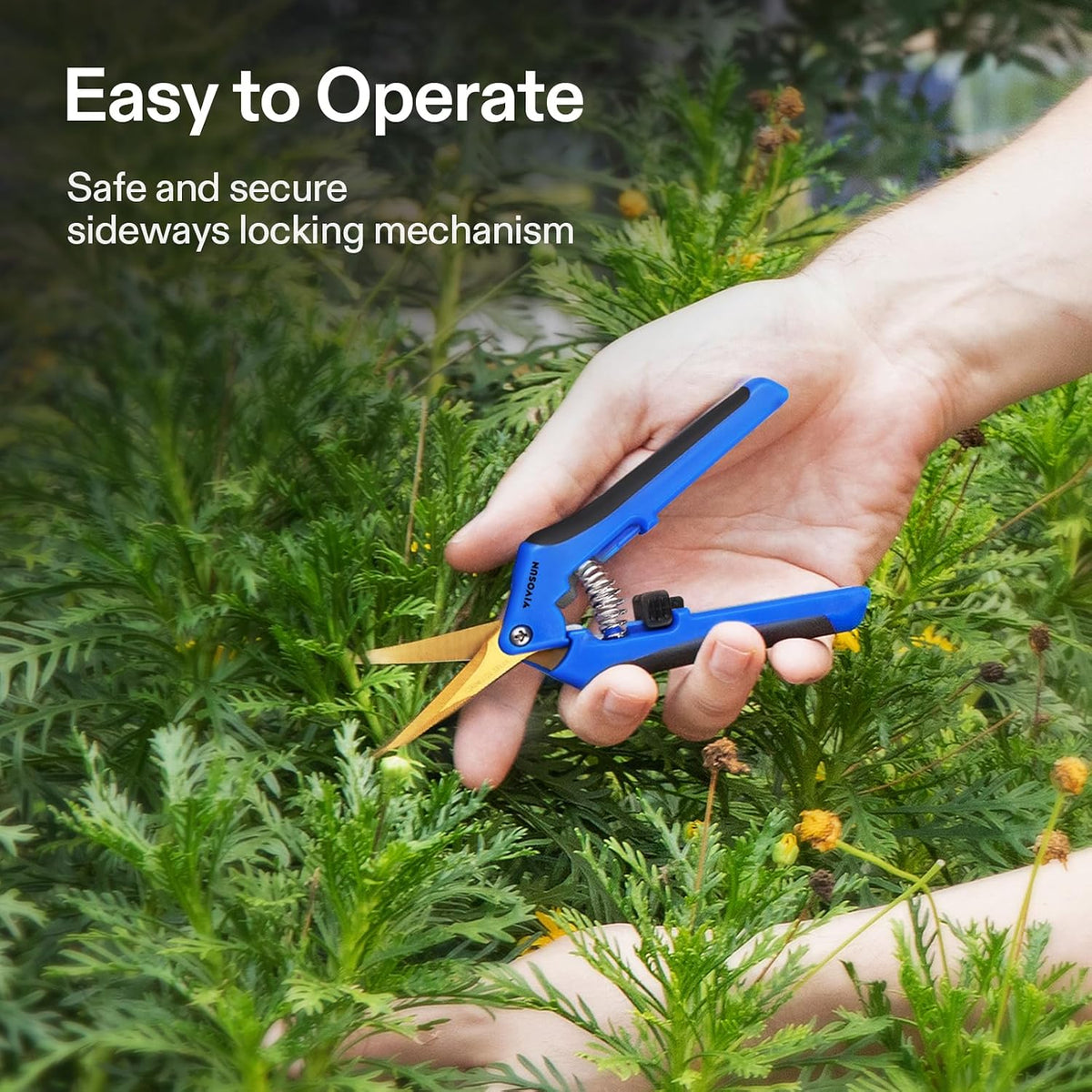 6.5 Inch Gardening Scissors Hand Pruner Pruning Shear with Straight Stainless Steel Blades Orange