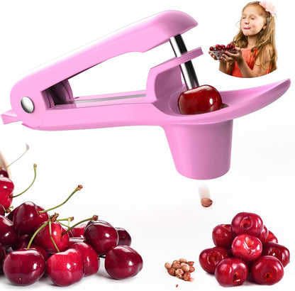 Cherry Pitter - Stainless Steel Cherries Corer Pitter Tool with Hand-held Push Design, Save Time & Space for Making Cherry Jam with Lock Design(Blue)