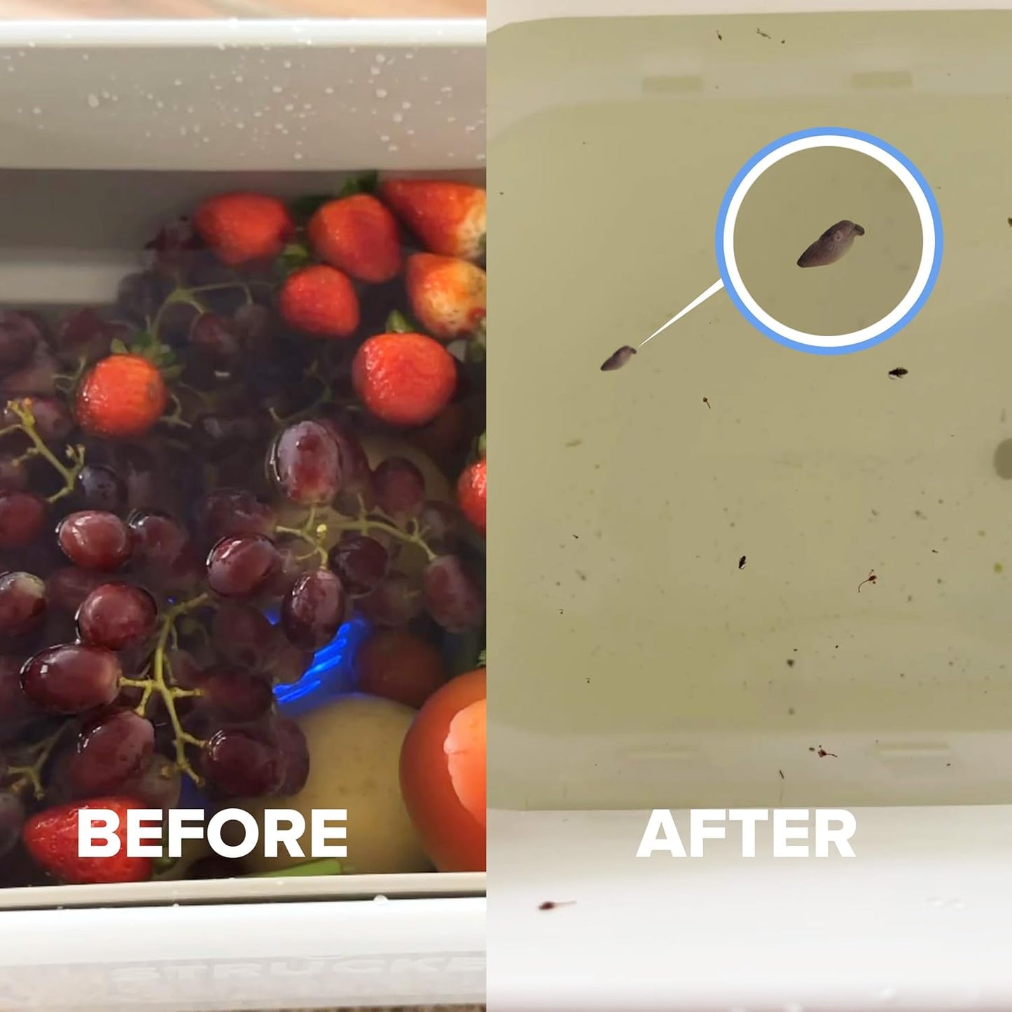 Fruit and Vegetable Washing Machine, 1-Year Warranty, Fruit Cleaner Device That Cleans Fresh Produce in Water, Waterproof Fruit and Vegetable Cleaner, Fruit and Veggie Purifier