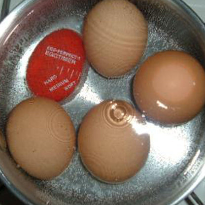 Egg Perfect Egg Timer