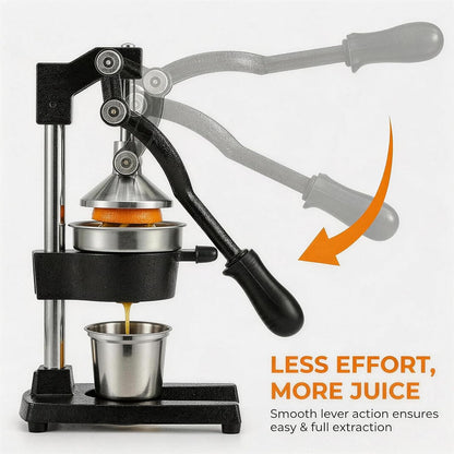 Cast Iron Citrus Juicer Hand Press, Heavy Duty Manual Orange Juicer Squeezer with 304 Stainless Steel Cup & Strainer, Lemon Grapefruit Pomegranate Press, Grey