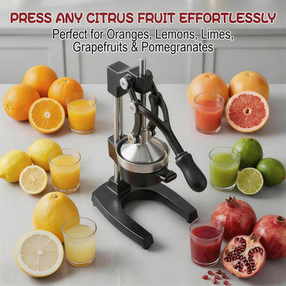 Cast Iron Citrus Juicer Hand Press, Heavy Duty Manual Orange Juicer Squeezer with 304 Stainless Steel Cup & Strainer, Lemon Grapefruit Pomegranate Press, Grey