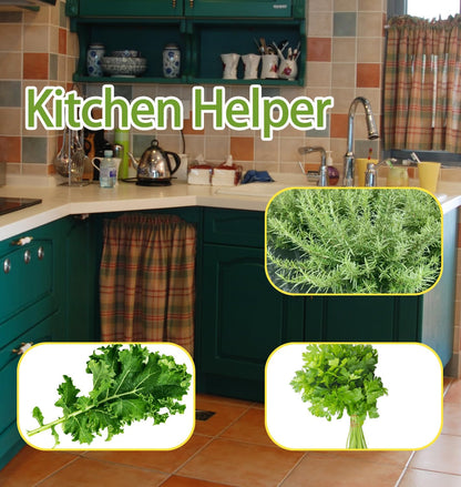 Pottery Herb Stripper Bowl, Handmade Ceramic Herb Stripper with 2 tools, different sizes Holes for Parsley, Rosemary, Collard Greens, Kitchen Gadget for Separating Leaves and Stems(3-Piece Set)
