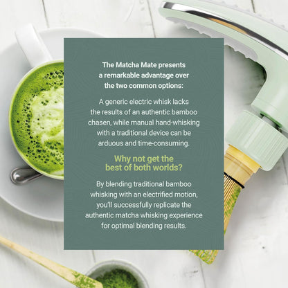 Matcha Whisk Set - (Chasen), Traditional Scoop (Chashaku), Tea Spoon