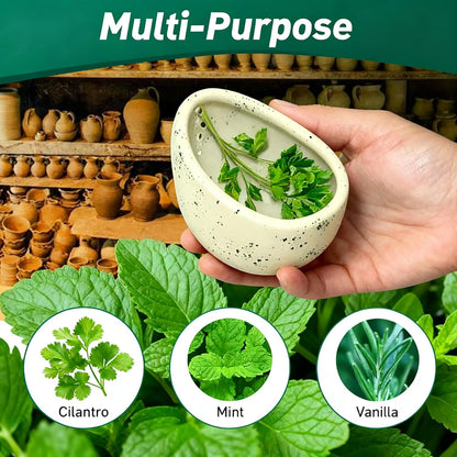 Pottery Herb Stripper Bowl, Upgrade Pottery Herb Stripper Bowl, Handmade Ceramic Herb Peeling Cup with Different Round Hole Sizes for Peeling Off The Leafy Assembly (Dark Green)