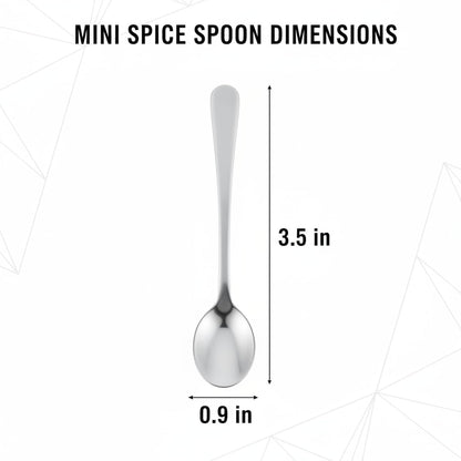 12 Pcs Mini Stainless Steel Spice Spoons, 3.5 Inch, Silver