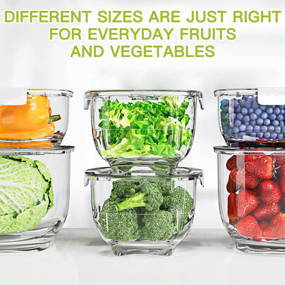 Fresh Produce Vegetable Fruit Storage Containers 3Piece Set, BPA-free Fridge Storage Container, Partitioned Salad Container, Fridge Organizers, Used in Storing Fruits Vegetables, Green