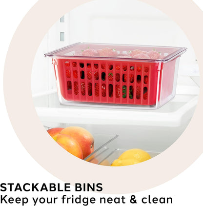 5169 Berry Bin - Single Basket, Red