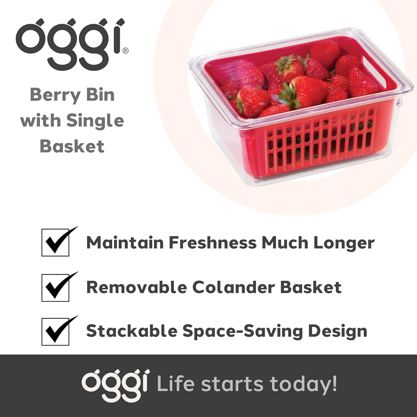 5169 Berry Bin - Single Basket, Red